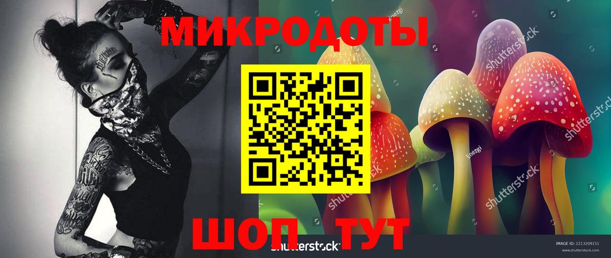 Псилоцибиновые грибы MAGIC MUSHROOMS Заволжье