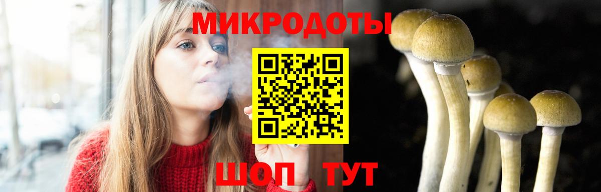Заволжье  Псилоцибиновые грибы ЛСД  Вход с VPN  даркнет сайт  Галлюциногенные грибы мухоморы 